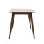 5 Piece Dining Set & 1 Table And 4 Upholstered Chairs - Mint / Walnut