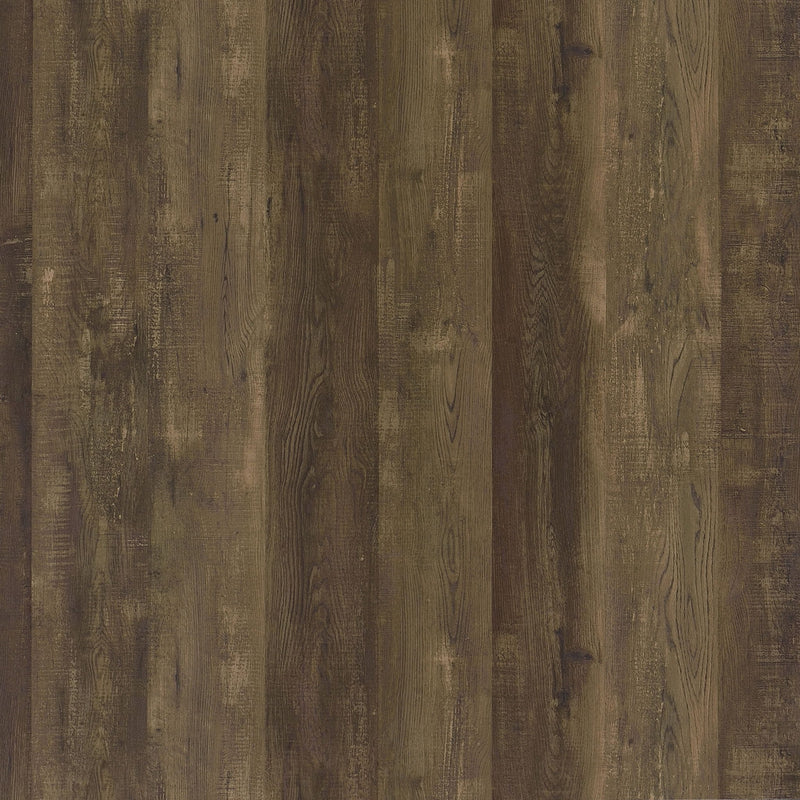 Sager - 4 Shelf Accent Cabinet - Oak