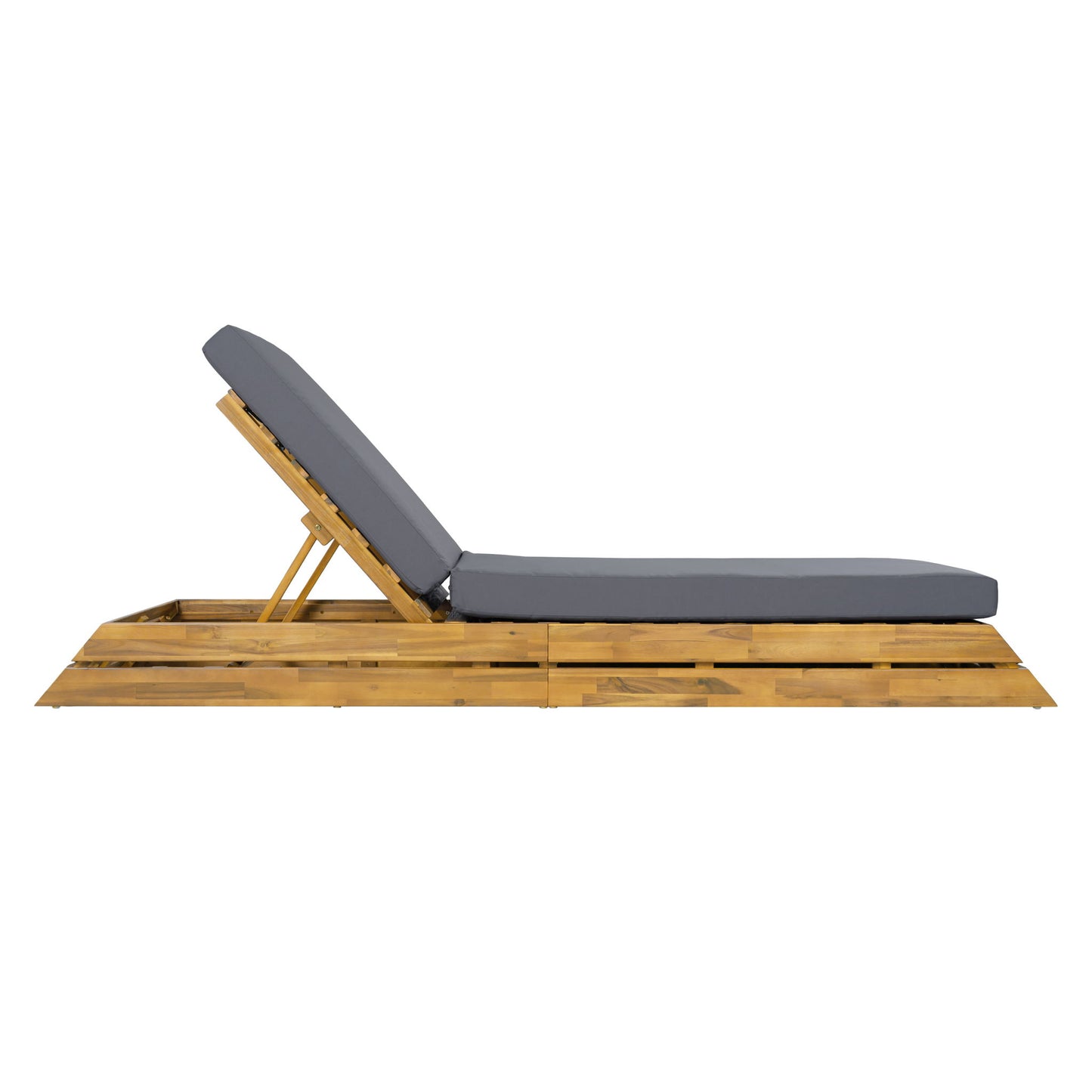 Chaise Lounge Set With 2 Fold Cushion