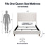 Hayden - Upholstered Wingback Bed With Tall Headboard