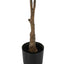 52" Tall, Artificial Plant, Rubber Tree, Indoor, Faux, Fake, Floor, Greenery, Potted, Real Touch, Decorative - Green / Black