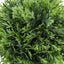 5" Tall, Artificial Plant, Grass, Indoor, Faux, Fake, Table, Greenery, Potted, Decorative (Set of 3) - Green / Gray
