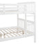 Bunk Bed With Ladder For Bedroom