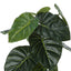 24" Tall, Artificial Plant, Alocasia, Indoor, Faux, Fake, Table, Greenery, Potted, Real Touch, Decorative - Green / Black