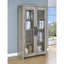 Myerson - 2 Door Tall Cabinet - Gray