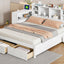 Platform Bed With Multi Functional Storage Space, Nightstand, 2 Drawers, USB Ports And Desk