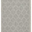 Sunshine - 5'3" X 7'3" Indoor & Outdoor Area Rug - Silver