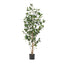 Artificial Laurel Tree