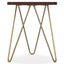 Patrice - Handcrafted Metal And Wood Accent Table