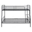 Contemporary Bunk Bed