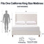 Harper - Tall Headboard Upholstered Bed / High Headboard / Elegant Simplicity / No Box Spring Needed