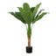 43" Tall, Artificial Plant, Banana Tree, Indoor, Faux, Fake, Floor, Greenery, Potted, Real Touch, Decorative - Green / Black