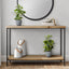 Artificial Ficus Elastica Plant (Set of 2)