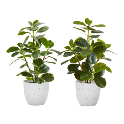 Artificial Ficus Elastica Plant (Set of 2)
