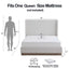 Hale - Upholstered Wingback Bed