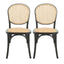 Vintage Style Dining Chairs (Set of 2)