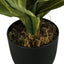 17" Tall, Artificial Plant, Dracaena, Indoor, Faux, Fake, Table, Greenery, Potted, Real Touch, Decorative - Green / Black