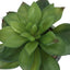 6" Tall, Artificial Plant, Succulent, Indoor, Faux, Fake, Table, Greenery, Potted, Decorative (Set of 2) - Green / Gray
