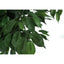 58" Tall, Artificial Plant, Ficus Tree, Indoor, Faux, Fake, Floor, Greenery, Potted, Decorative - Green / Black