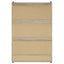 Kyla - 3 Tier Shoe Cabinet