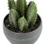 Artificial Succulent Plants (Set of 3)