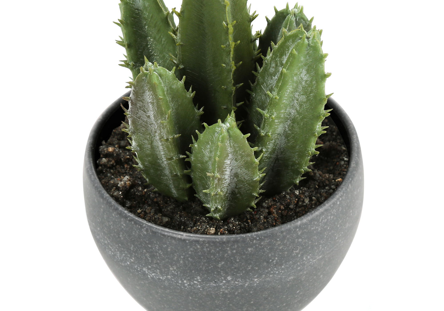 Artificial Succulent Plants (Set of 3)