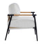 Modern Accent Chair With Cushions, Cozy Seating