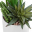 Artificial Succulent Plants (Set of 2)