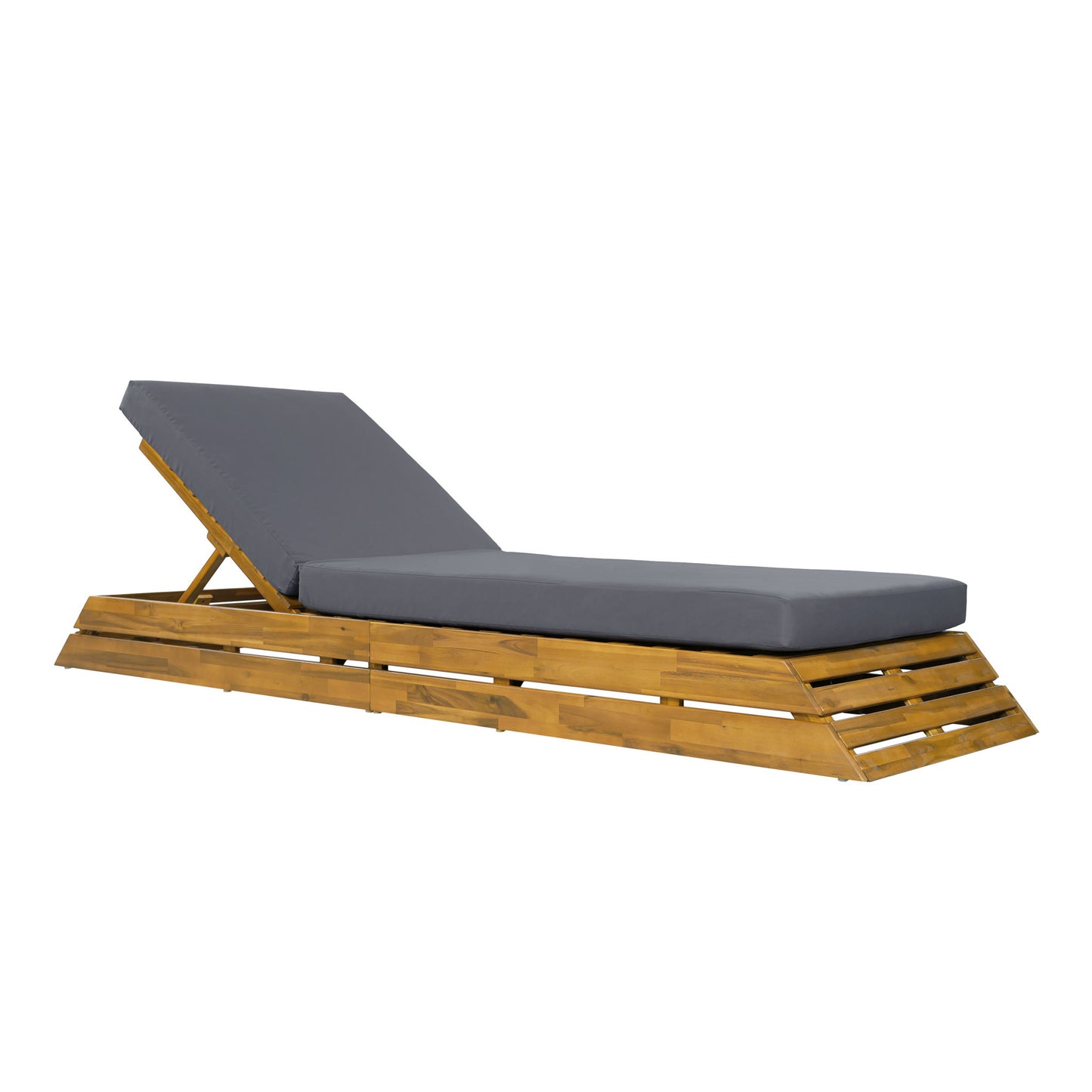 Chaise Lounge Set With 2 Fold Cushion