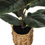 28" Tall, Artificial Plant, Fiddle Tree, Indoor, Faux, Fake, Floor, Greenery, Potted, Real Touch, Decorative - Green / Beige