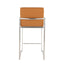Fuji - Contemporary High Back Barstool (Set of 2)
