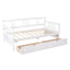 Multifunctional Elegant Modern Daybed