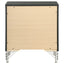 Malcolm - 2 Drawer Nightstand - Black