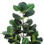 49" Tall, Artificial Plant, Fiddle Tree, Indoor, Faux, Fake, Floor, Greenery, Potted, Real Touch, Decorative - Green / Black