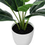 17" Tall, Artificial Plant, Aureum, Indoor, Faux, Fake, Table, Greenery, Potted, Real Touch, Decorative - Green / White