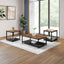 Linea - 3 Piece Occasional Set (1 Coffee & 2 End Tables) - Black / Brown