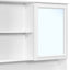 Double Sink Bathroom Vanity Set With Wall Mount Mirror Cabinet