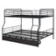 Contemporary Bunk Bed