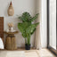 45" Tall, Artificial Plant, Monstera Tree, Indoor, Faux, Fake, Floor, Greenery, Potted, Real Touch, Decorative - Green / Black