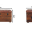 Buffalo - Storage Trunk