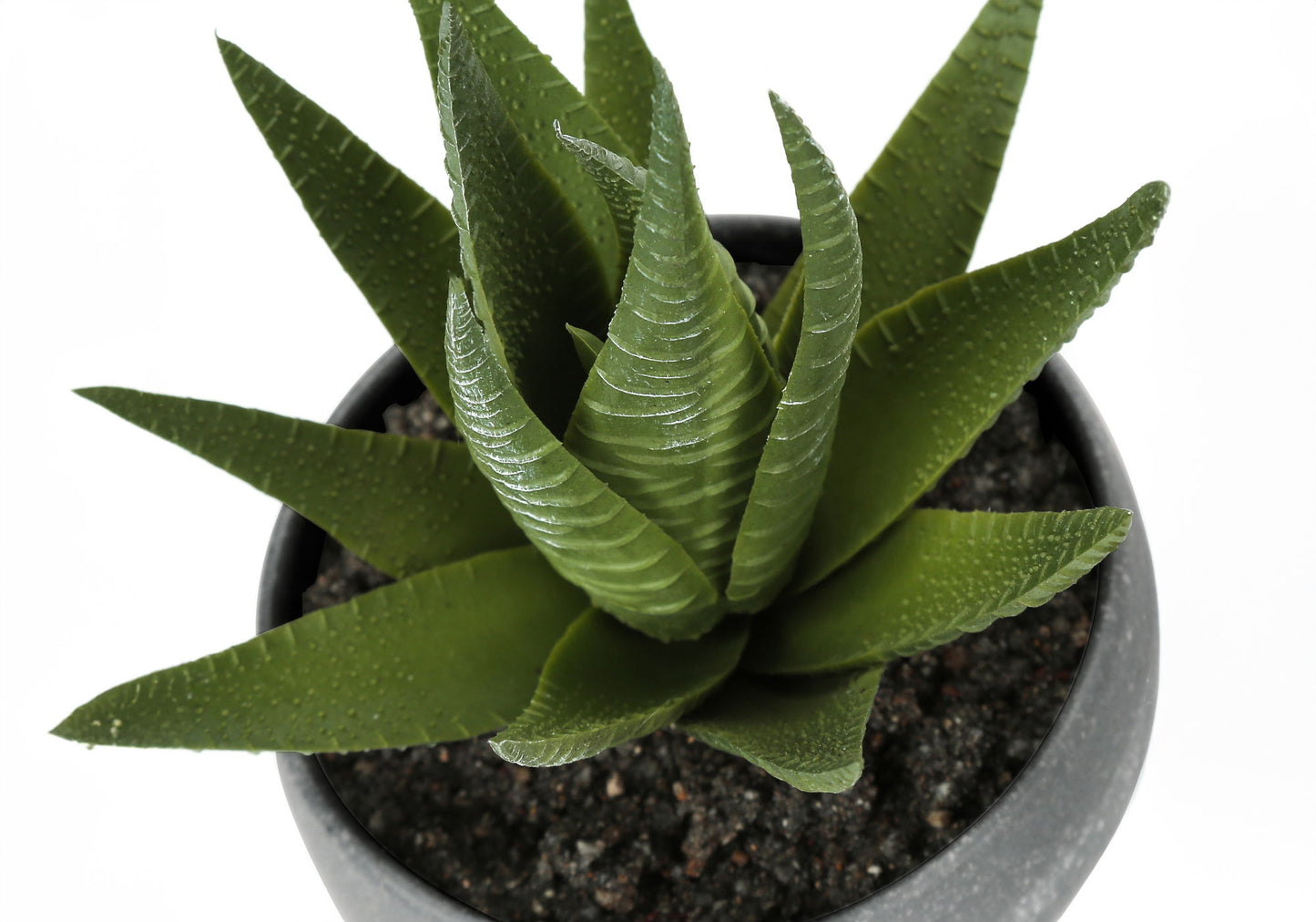 Artificial Succulent Plants (Set of 3)