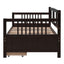 Multifunctional Elegant Modern Daybed