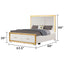 Obsession - Queen Size Bed With LED Headboard And Footboard Storage Drawer - White