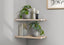 Artificial Alocasia Plant (Set of 2)