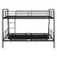 Contemporary Bunk Bed