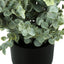 11" Tall, Artificial Plant, Eucalyptus Grass, Indoor, Faux, Fake, Table, Greenery, Potted, Decorative (Set of 2) - Green / Black