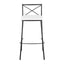 Modern Charlotte - Contemporary Fixed Height Barstool (Set of 2)