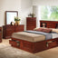 Traditional Style Bookcase Storage Bed