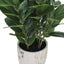 31" Tall, Artificial Plant, Garcinia Tree, Indoor, Faux, Fake, Floor, Greenery, Potted, Real Touch, Decorative - Green / White
