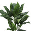 42" Tall, Artificial Plant, Evergreen Tree, Indoor, Faux, Fake, Floor, Greenery, Potted, Decorative - Green / Black